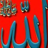 mohamedmed4987