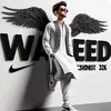 waheedaliansari8824