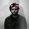 tna_rs