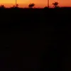 alguem09sn