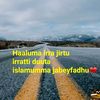 darartu_12