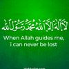 sadiausman881