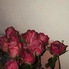 lamar.abdullah2