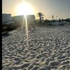 miranehosni945