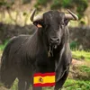 josemaricrespo