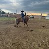 mcanelo1