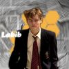 labibwtf3