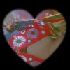 rosa_ly2007