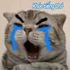 mikanaka6999