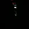 salvi_rblx10