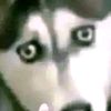 useraybd13zke8