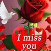rizad2105
