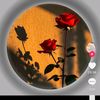 user752493237