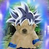 darkergd3