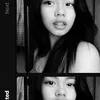 ysh_ie1