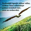 tttttjjjoohgvbbnnnn
