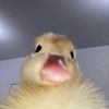 bxzyexns_