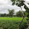 nguyen.trangqs87