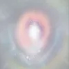 ngingi.ling