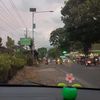 chacha_chiichii