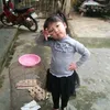 q_lienee