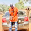 mr_bra226