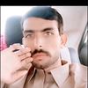 rashidshah913