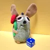 amiasa99