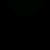 iver_10_27