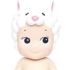 darciegeorgesheep