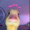 duckysfine2227