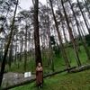 nengasih883