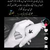 habibkhan8455