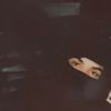 mynor__sgr