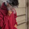 usernotfound0000654