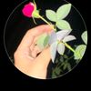 mylifea065