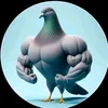 user8ljns9vwoq
