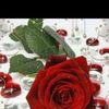 user9182249339113