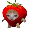 stwoaberri