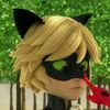 chatonbuginette