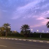 salamy_23