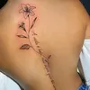 nayara044096152
