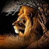 lio_123.com