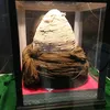 sugianto_ijen