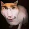 dudu_dd7