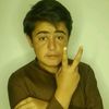 shahzaibafridi8700