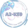 A2 - quân đoàn phi phai