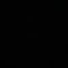 daniel__morale.s
