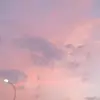 your_ex_name