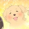satonosuke💛